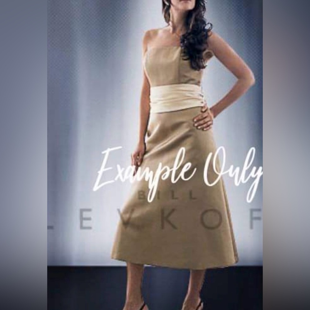 Elegant Tan Women's dress